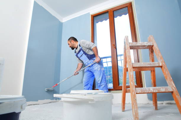 Best Mold Damage Restoration  in Pine Ridge, FL