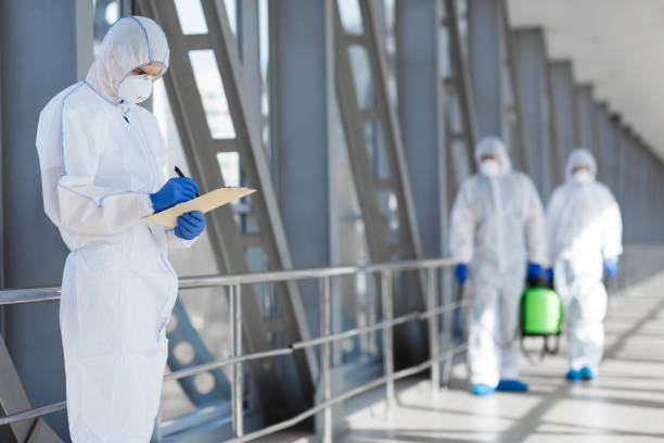 Pine Ridge, FL Mold Removal Company
