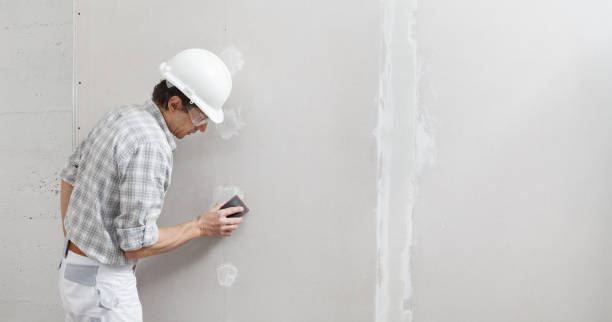 Best Emergency Mold Remediation  in Pine Ridge, FL