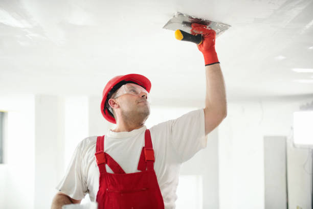 Reliable Pine Ridge, FL Mold Removal Solutions