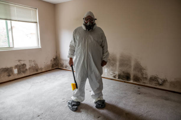 Best Industrial Mold Remediation  in Pine Ridge, FL